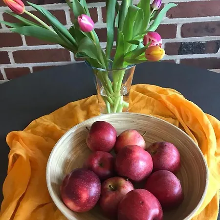 Konukevi Naturfreundehaus Fritz Bohne *