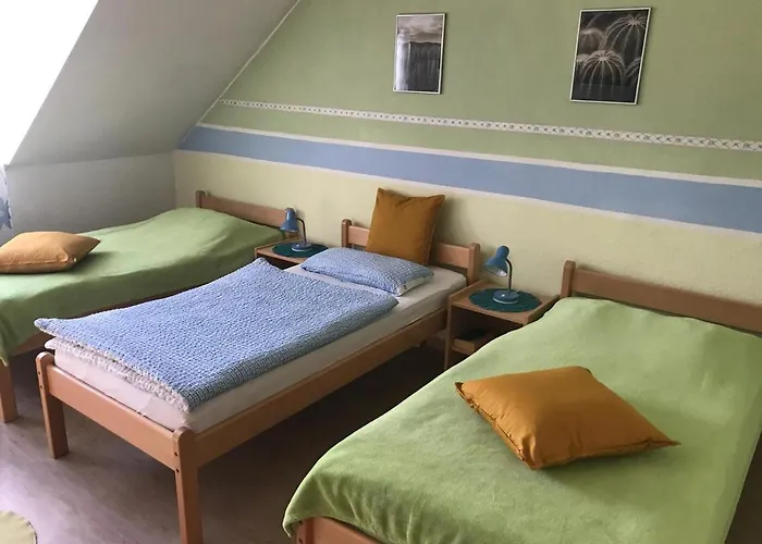 Naturfreundehaus Fritz Bohne 招待所 盖尔森基兴