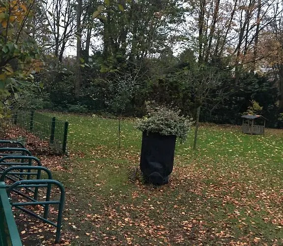 Naturfreundehaus Fritz Bohne 招待所 盖尔森基兴